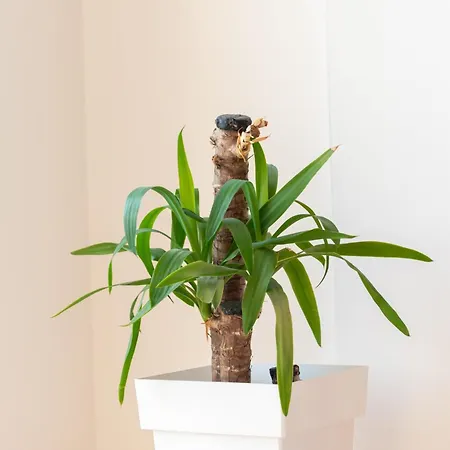 Bik Apartment